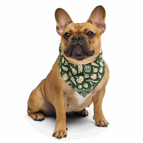 Mini Fruit Bandana – For Pets, Pockets & Produce Bags