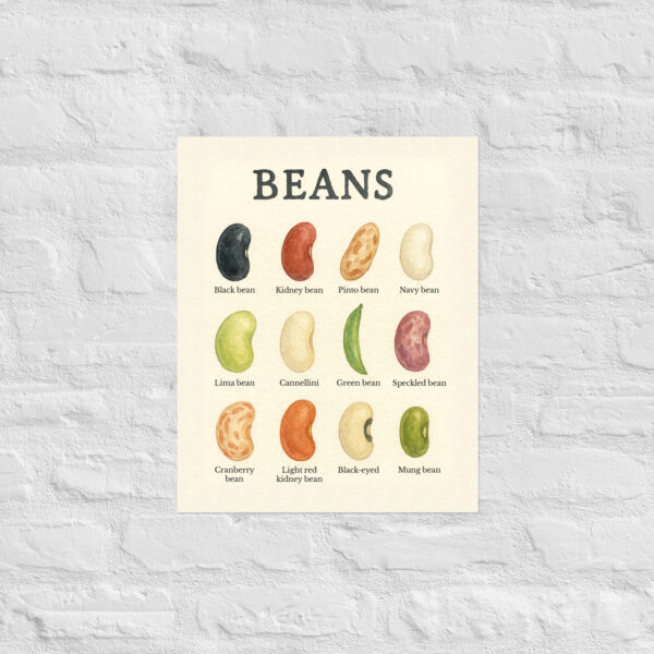 BEANS – 16×20 Illustrated Poster